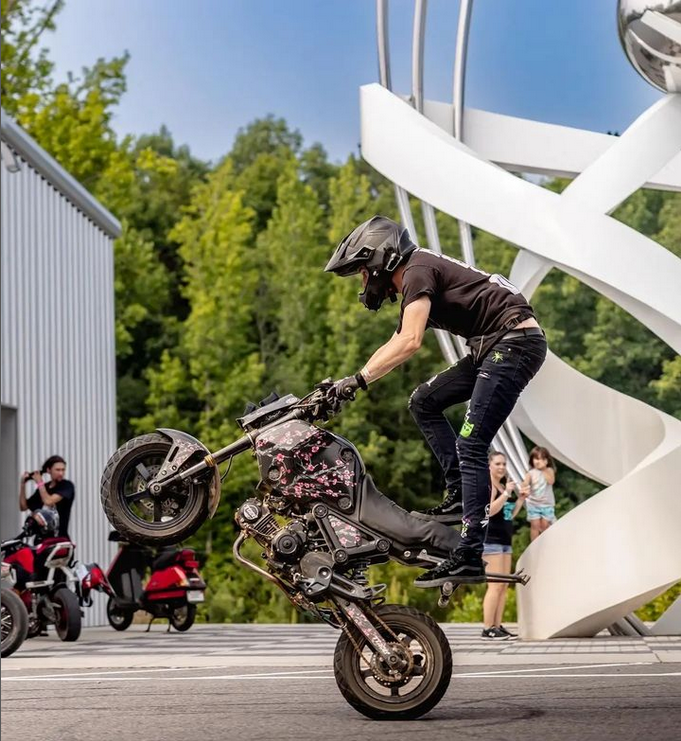 Grom 2021-2024 Cherry Blossom (Black) Theme – SEVENTY SEVEN DECALS LLC