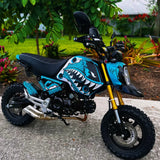 Grom 2021-2024 The Shark (Blue Raspberry) Theme