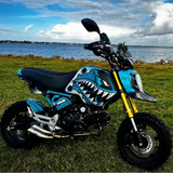 Grom 2021-2024 The Shark (Blue Raspberry) Theme