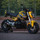Grom 2021-2024 The Shark (Yellow) Theme