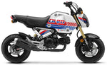 Grom 2021-2024 DHM Racing Theme